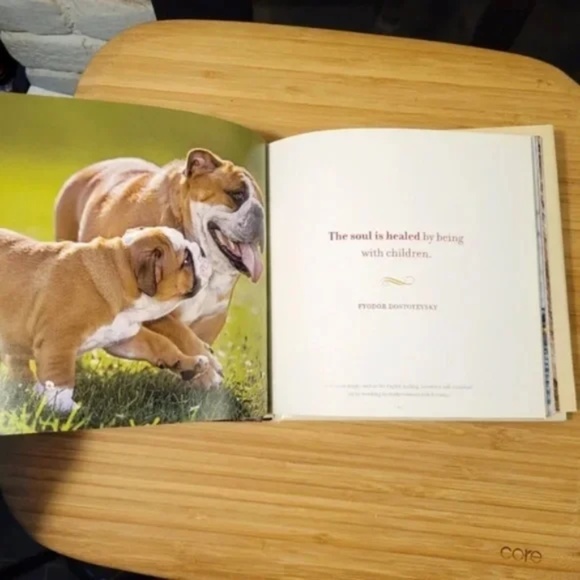 ❤️ Gift Book The Wisdom of Moms from NatGeo - Picture 4 of 8